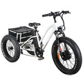 Fat Tyre Electric Tricycle